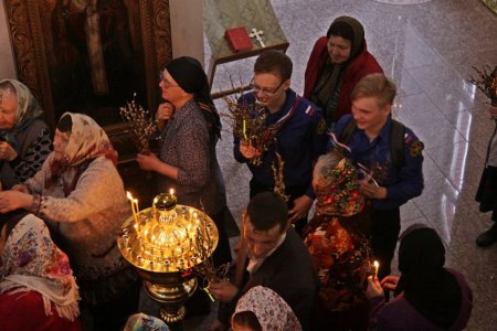 Следопыты Колпашевского отряда Томской области подготовили вербу для Вербного воскресенья
