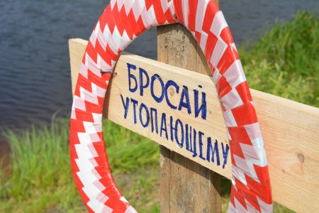 В Национальном парке "Орловское Полесье" состоялся лагерь "Феодоровский городок"